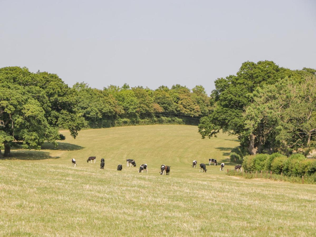 Linden Barn Villa Wincanton Bagian luar foto